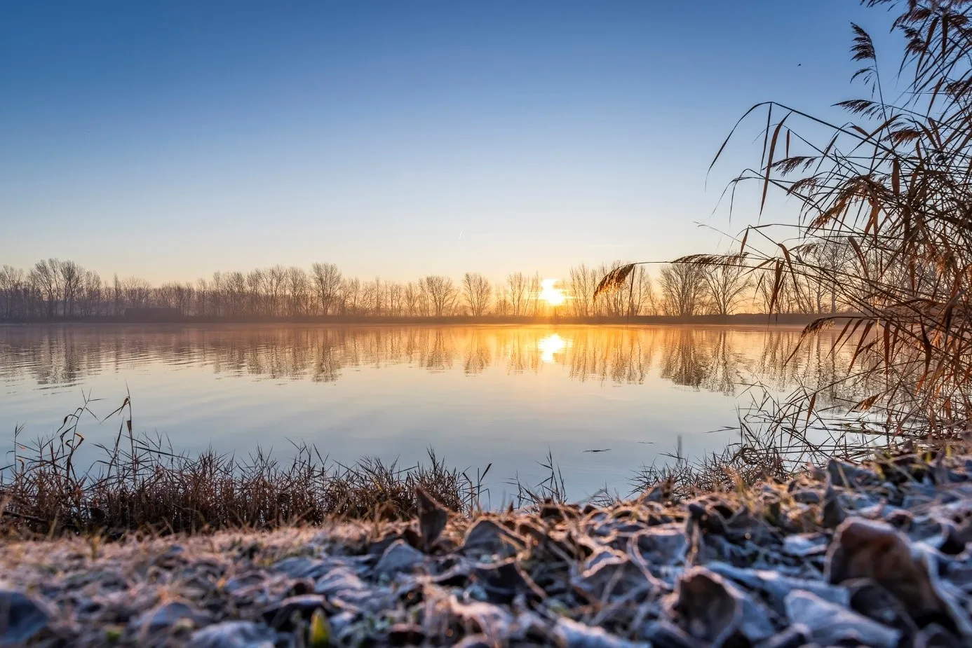 In the interest of Szigetköz’s future, a broad-based collaboration has been established, with the General Directorate of Water Management, the North Transdanubian Water Directorate, and Széchenyi István University all playing key roles. (Photo: Gábor Marcali)